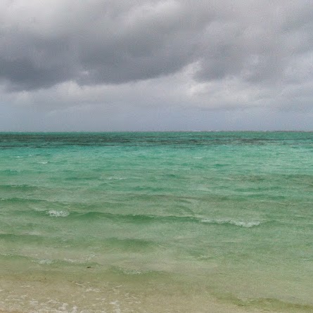 Michelle Halstead Photo 27