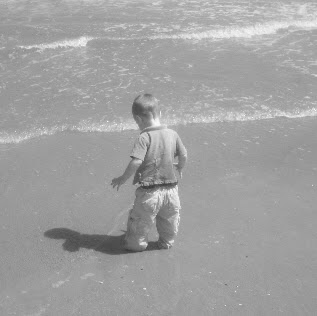 Stacy Wilson Photo 17