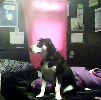 Elizabeth Talbot Photo 26