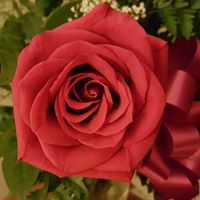 Vivian Grant Photo 13