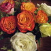 Shirley Rose Photo 14