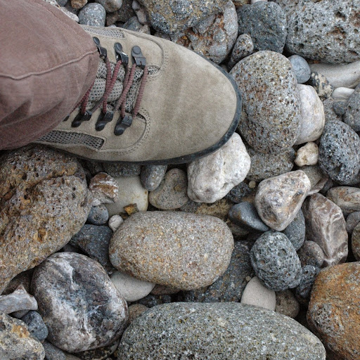 Susan Quinn Photo 15