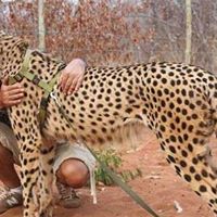 Robert Kruger Photo 18