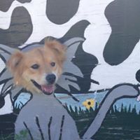 Stephanie Beaupre Photo 17