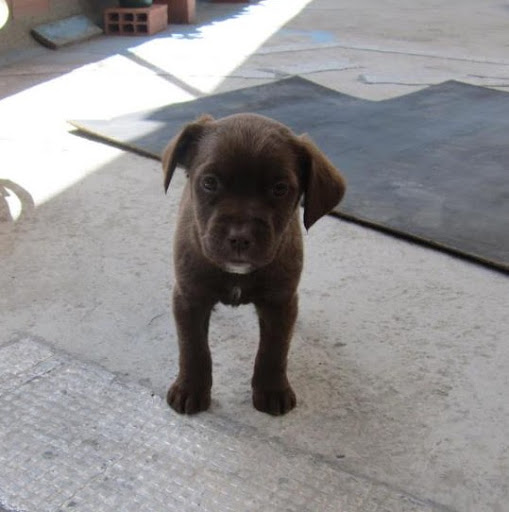 Jhon Fuentes Photo 21