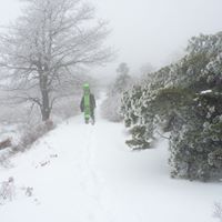 Larry Chapman Photo 19