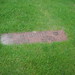 Arthur Cross Photo 17