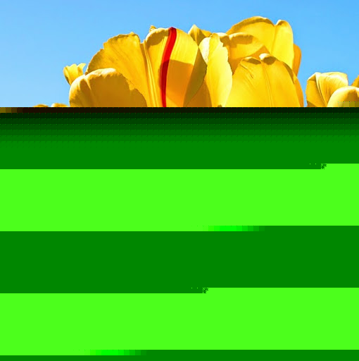 Teresa Jacobs Photo 24 Teresa Jacobs Photo 24