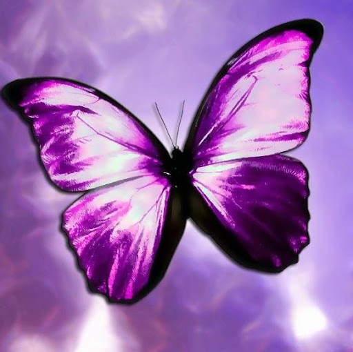 Claudia Paz Photo 43