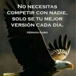 Rodolfo Zavala Photo 12