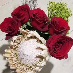 Julie Kruger Photo 22