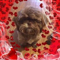 Kimberly Goetz Photo 13