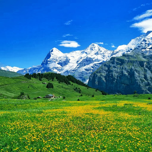 Andrea Fields Photo 34