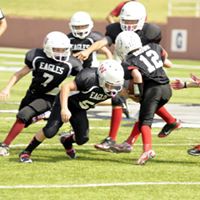 Cynthia Mccurdy Photo 11