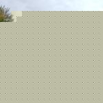 Geraldine Stephens Photo 1