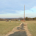 Robert Hamrick Photo 29