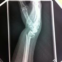 Cheryl Sheffield Photo 21