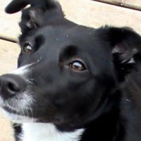 George Stover Photo 18