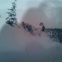 Shawn Pickering Photo 13