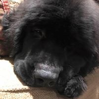 Debbie Paxton Photo 9