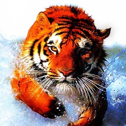 Megan Carter Photo 33