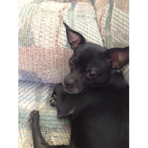 Tracey Barber Photo 35