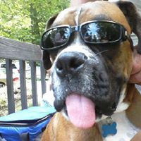 Christine Martell Photo 12