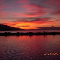 Tracy Edgell Photo 10