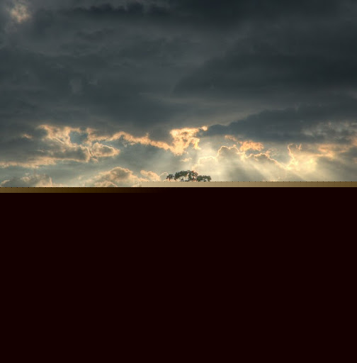 David Hanna Photo 47