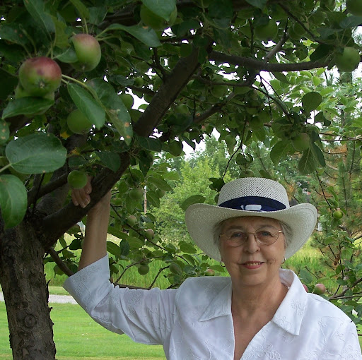 Jean Mccarthy Photo 36