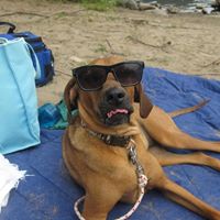 Janet Monaghan Photo 13