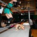 Erich Maurer Photo 9