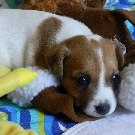 Donna Nolan Photo 35