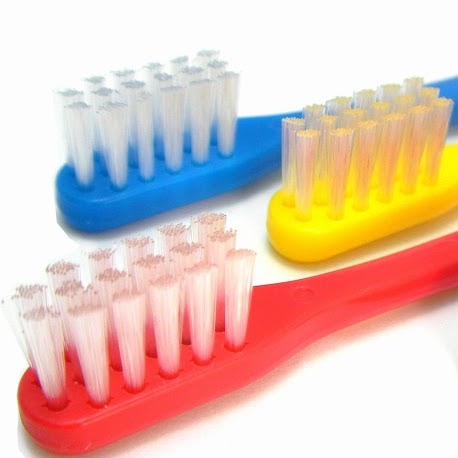 David Schaefer Photo 9