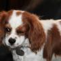 John Halpin Photo 12
