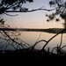 Rob Nickels Photo 10