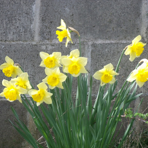 Katie Mcmullen Photo 10