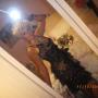 Penny Swanson Photo 8