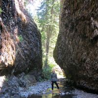 Susan Saylor Photo 18