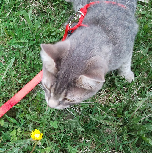 Christine Macneil Photo 5