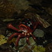 Jody Burrow Photo 4