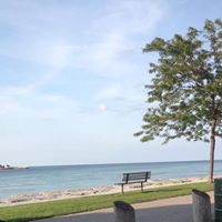 Sharon Freer Photo 13