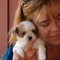Janice Bohn Photo 10