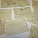 Stephanie Yeager Photo 22