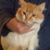 Cheri Richards Photo 36