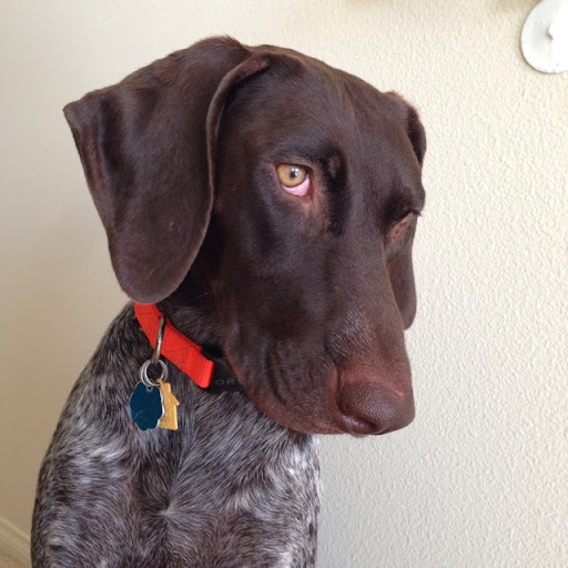 Robert Donovan Photo 35