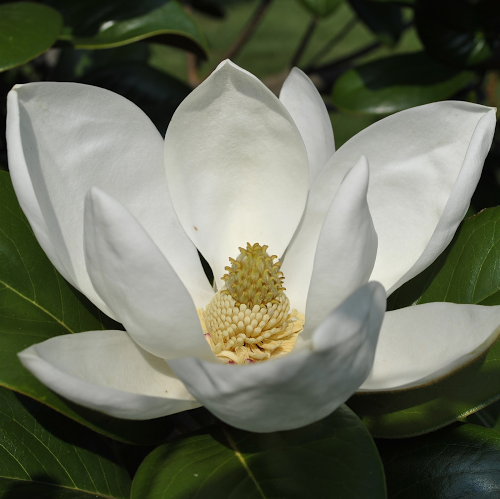 Gregory Evans Photo 16