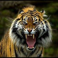 Larry Baxter Photo 12