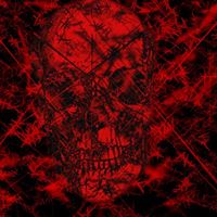 Sharlene Kelly Photo 6