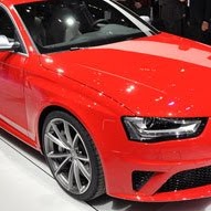 Sandy Collier Photo 23